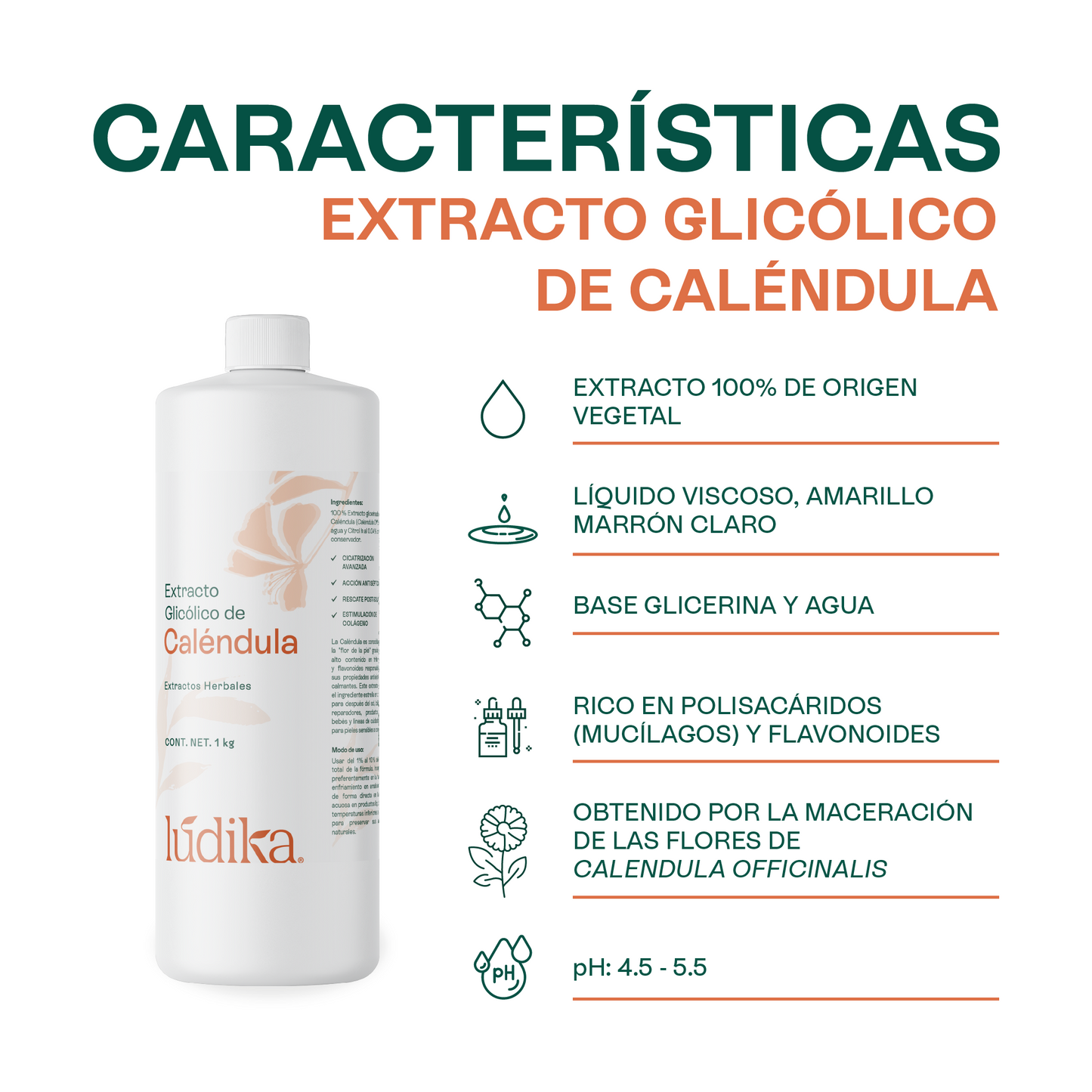 Extracto Glicólico de Caléndula | Facial, Corporal y Capilar | Activo Calmante, Reparador y Anti-Irritante
