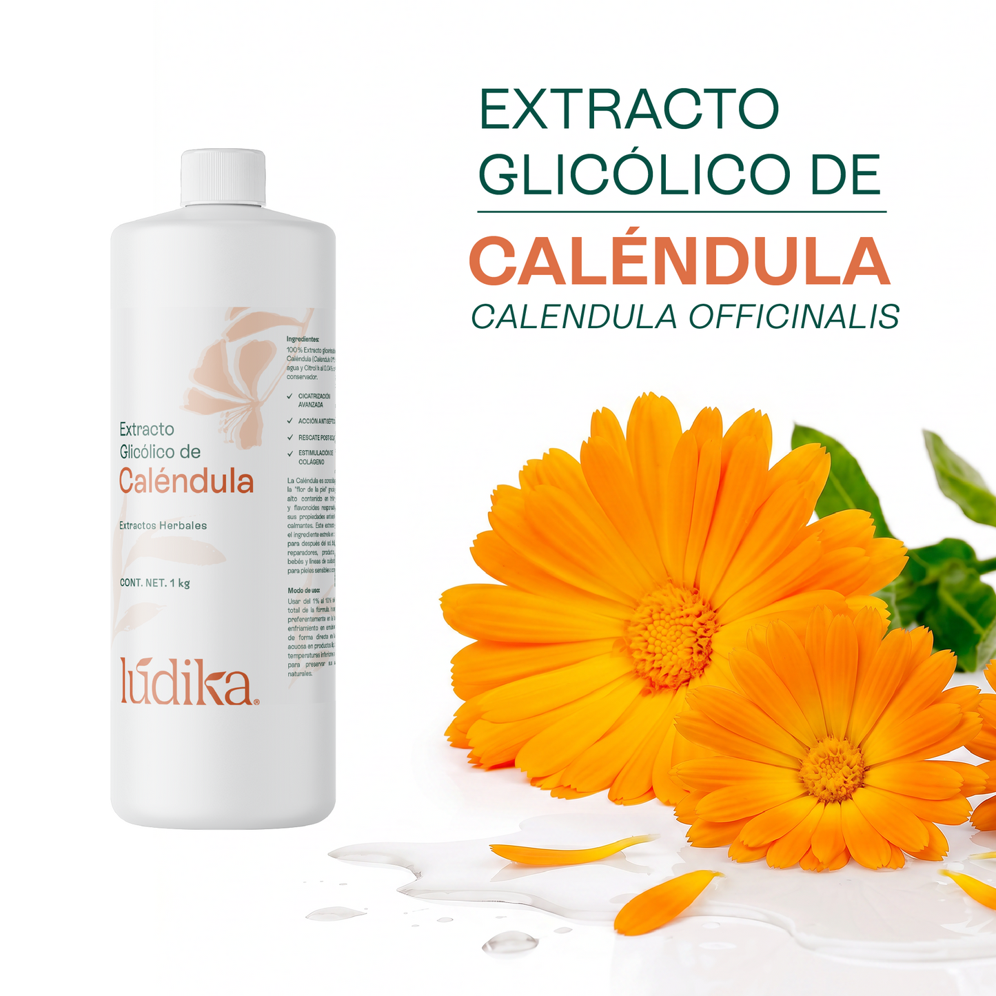Extracto Glicólico de Caléndula | Facial, Corporal y Capilar | Activo Calmante, Reparador y Anti-Irritante