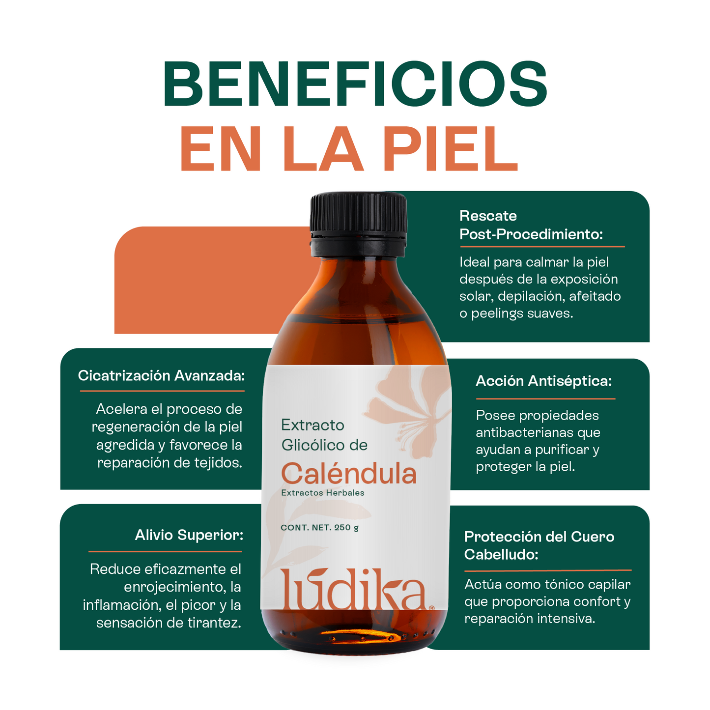 Extracto Glicólico de Caléndula | Facial, Corporal y Capilar | Activo Calmante, Reparador y Anti-Irritante