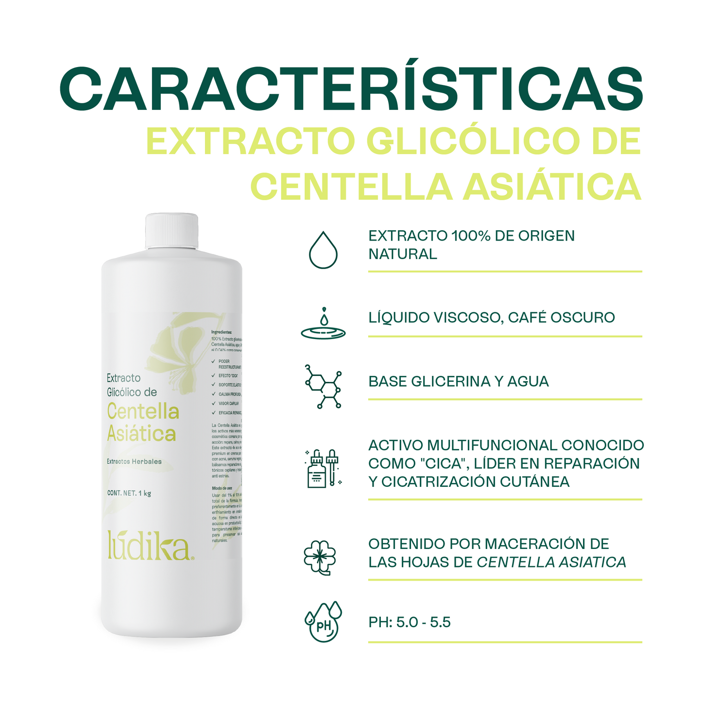 Extracto de Centella Asiática | Facial, Corporal y Capilar | Reparador, Regenerador y Calmante
