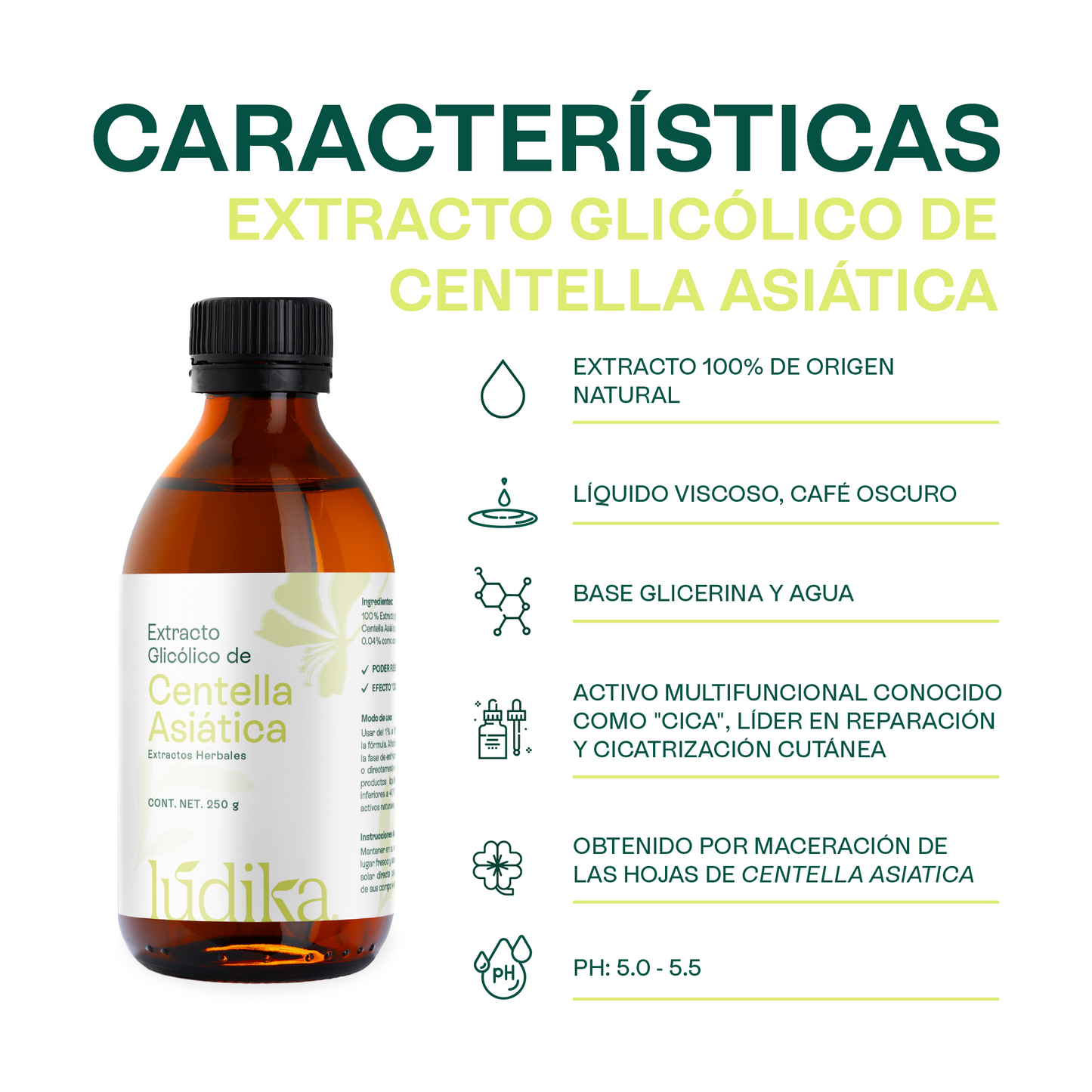 Extracto de Centella Asiática | Facial, Corporal y Capilar | Reparador, Regenerador y Calmante