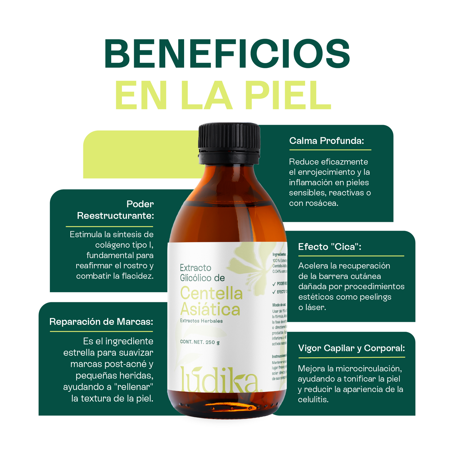 Extracto de Centella Asiática | Facial, Corporal y Capilar | Reparador, Regenerador y Calmante