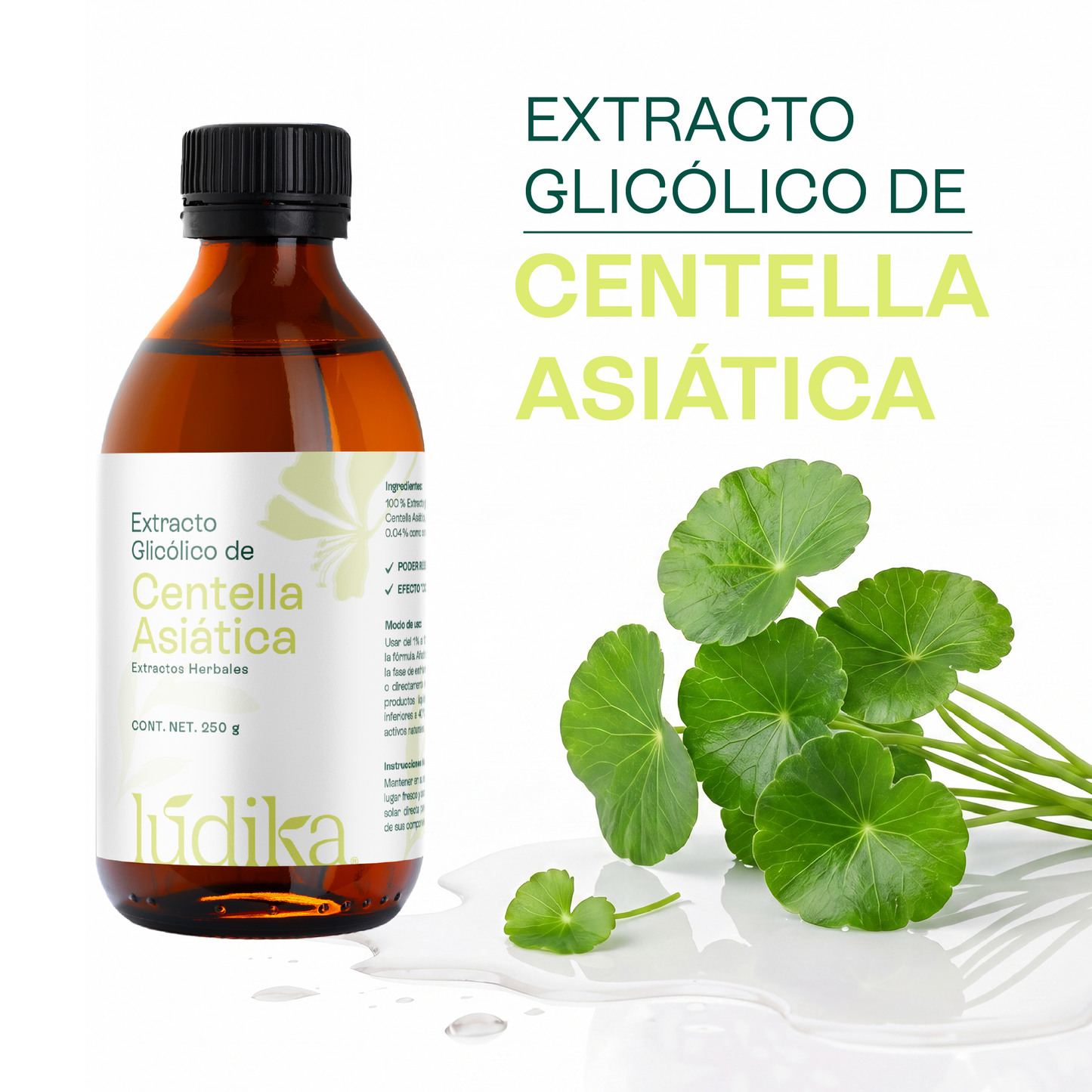 Extracto de Centella Asiática | Facial, Corporal y Capilar | Reparador, Regenerador y Calmante