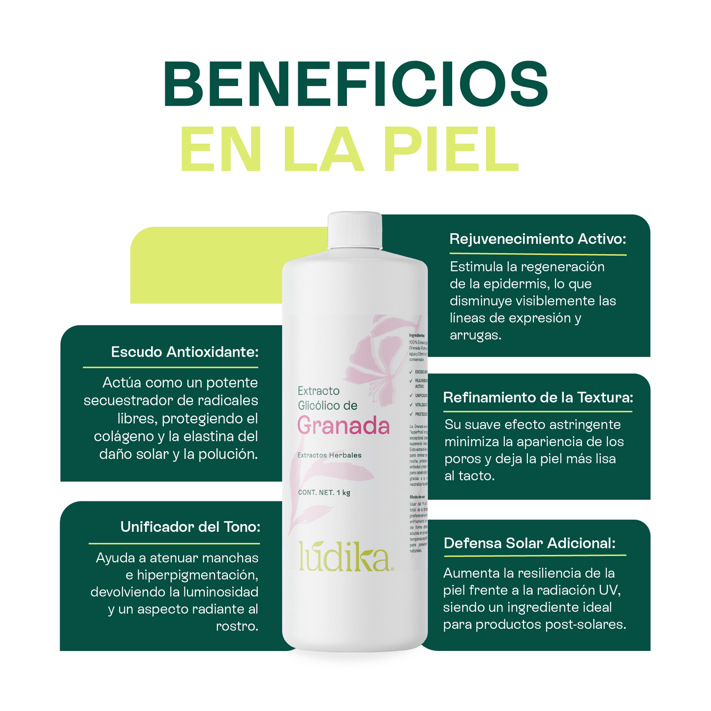 Extracto Glicólico de Granada | Facial, Corporal y Capilar | Activo Antioxidante, Antienvejecimiento e Iluminador