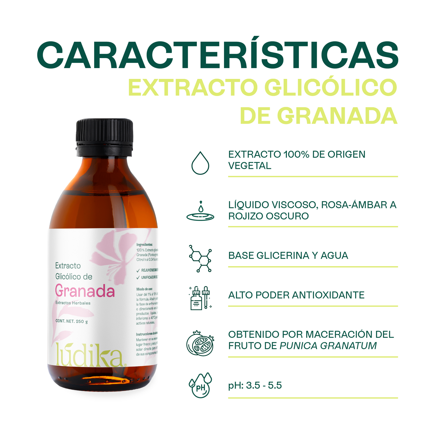 Extracto Glicólico de Granada | Facial, Corporal y Capilar | Activo Antioxidante, Antienvejecimiento e Iluminador