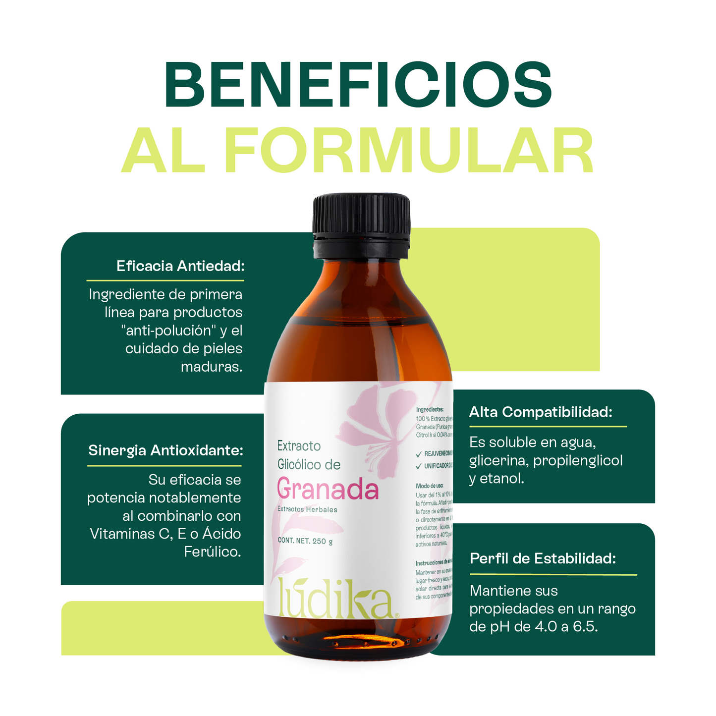 Extracto Glicólico de Granada | Facial, Corporal y Capilar | Activo Antioxidante, Antienvejecimiento e Iluminador