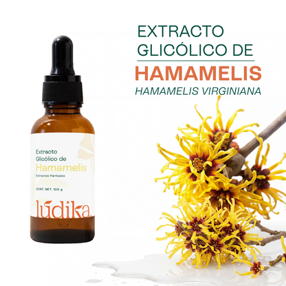 Extracto Glicólico de Hamamelis | Facial, Corporal y Capilar | Activo Astringente, Purificante y Vasoconstrictor