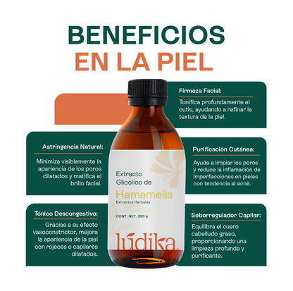Extracto Glicólico de Hamamelis | Facial, Corporal y Capilar | Activo Astringente, Purificante y Vasoconstrictor