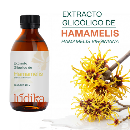 Extracto Glicólico de Hamamelis | Facial, Corporal y Capilar | Activo Astringente, Purificante y Vasoconstrictor