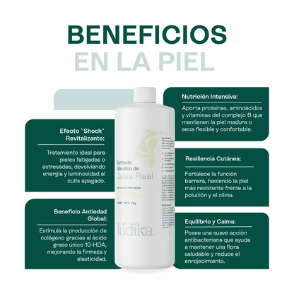 Extracto Glicólico de Jalea Real | Facial, Corporal y Capilar | Activo Revitalizante y Regenerador Antiedad
