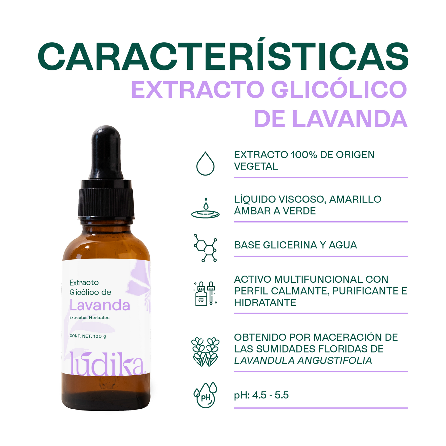 Extracto Glicólico de Lavanda | Facial, Corporal y Capilar | Activo Calmante, Purificante y Equilibrante