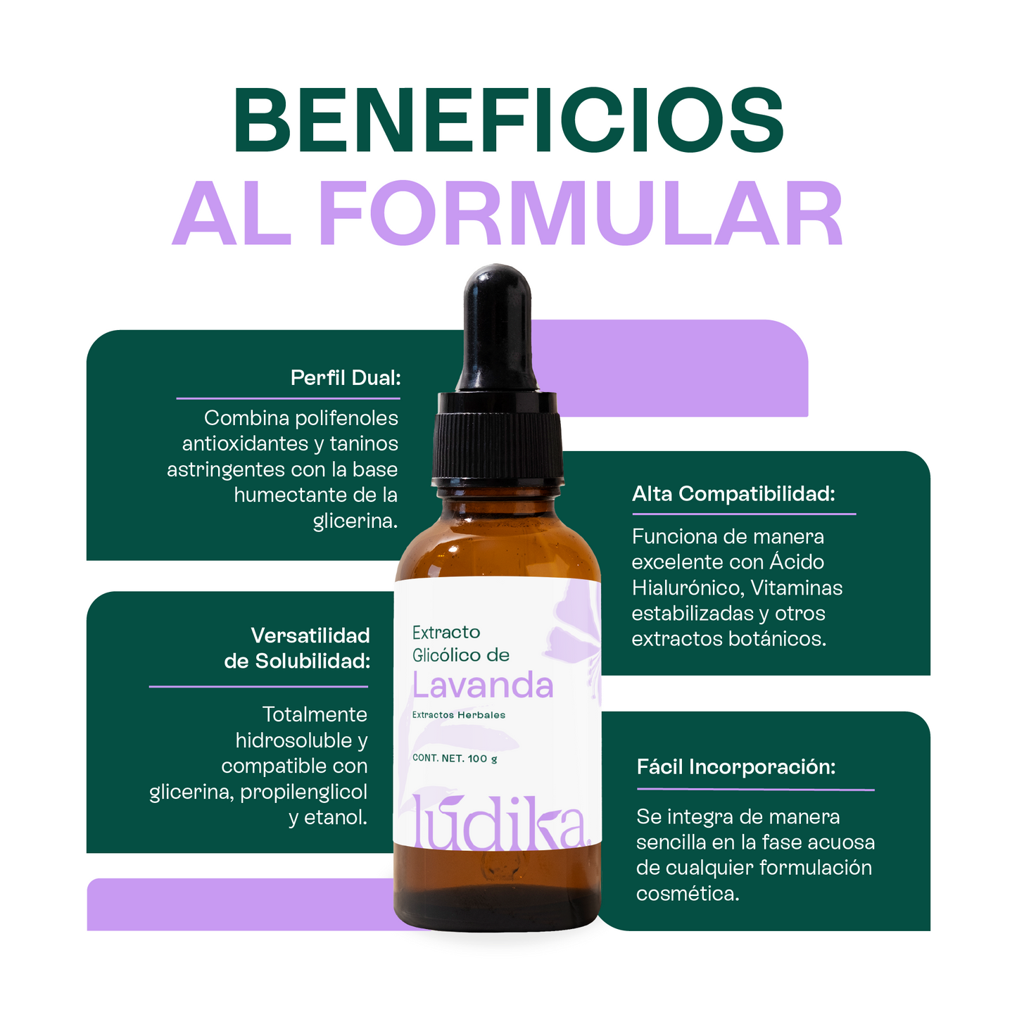 Extracto Glicólico de Lavanda | Facial, Corporal y Capilar | Activo Calmante, Purificante y Equilibrante