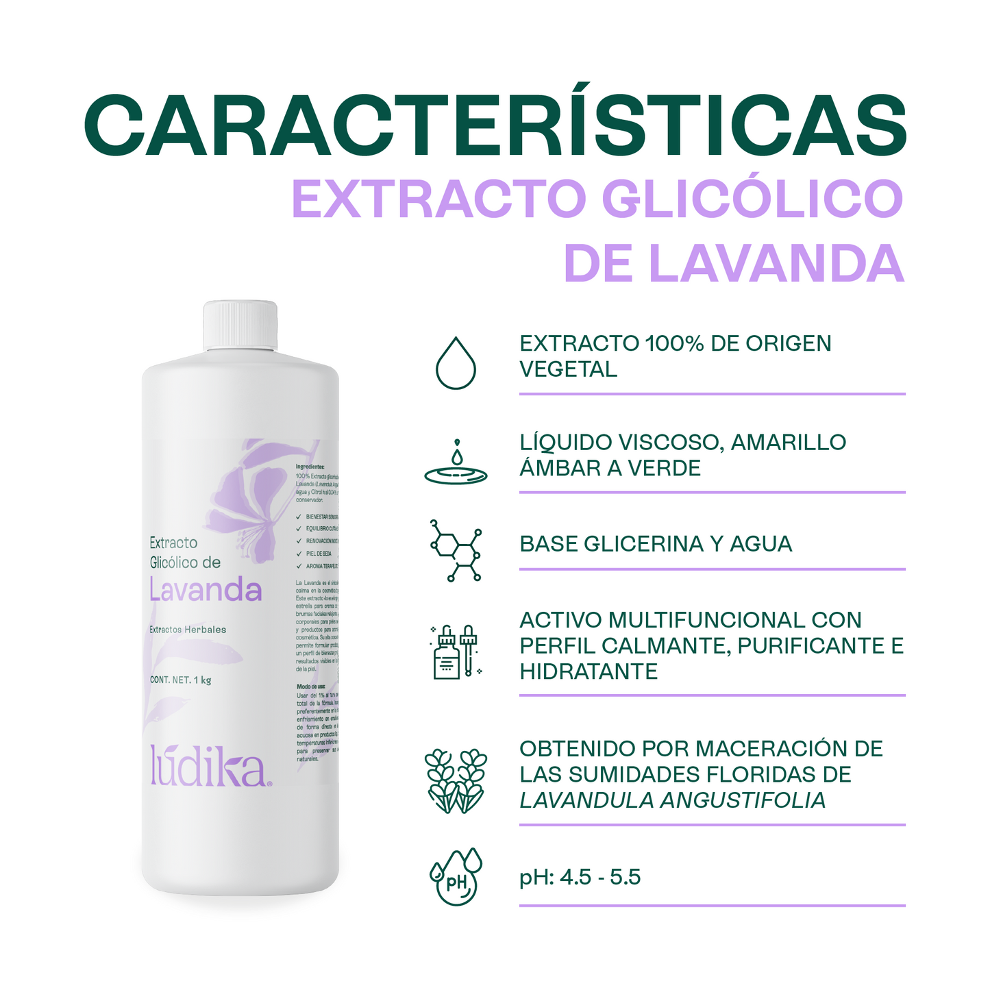 Extracto Glicólico de Lavanda | Facial, Corporal y Capilar | Activo Calmante, Purificante y Equilibrante