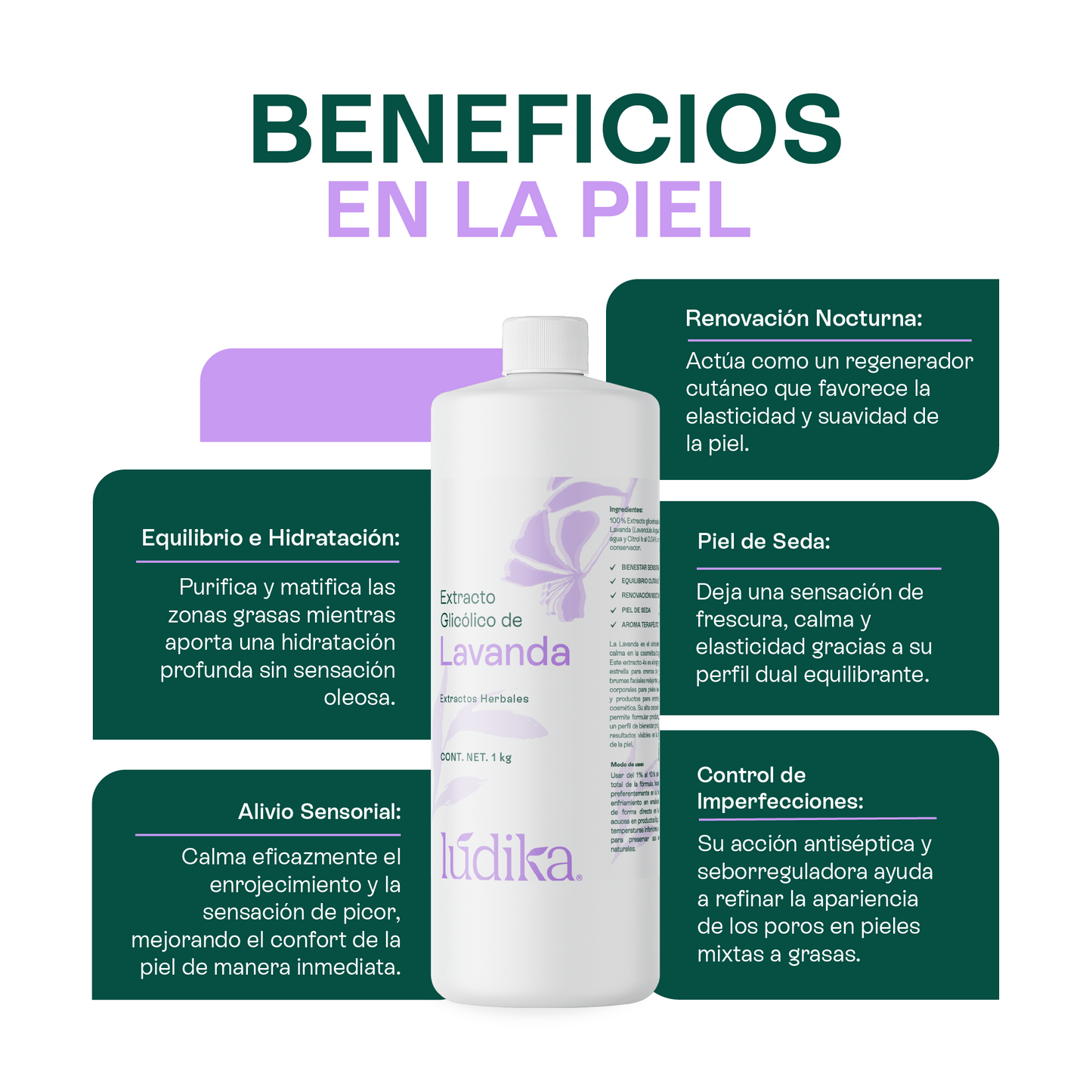 Extracto Glicólico de Lavanda | Facial, Corporal y Capilar | Activo Calmante, Purificante y Equilibrante