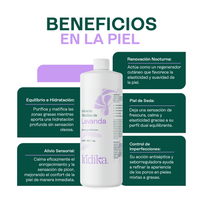 Extracto Glicólico de Lavanda | Facial, Corporal y Capilar | Activo Calmante, Purificante y Equilibrante