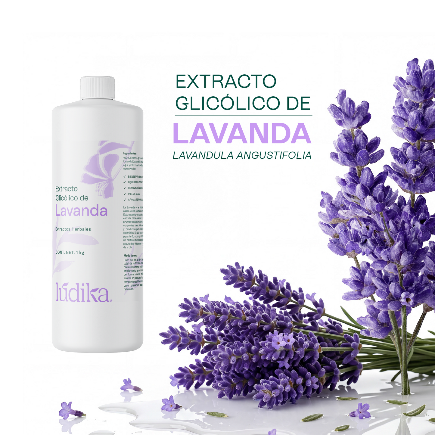 Extracto Glicólico de Lavanda | Facial, Corporal y Capilar | Activo Calmante, Purificante y Equilibrante