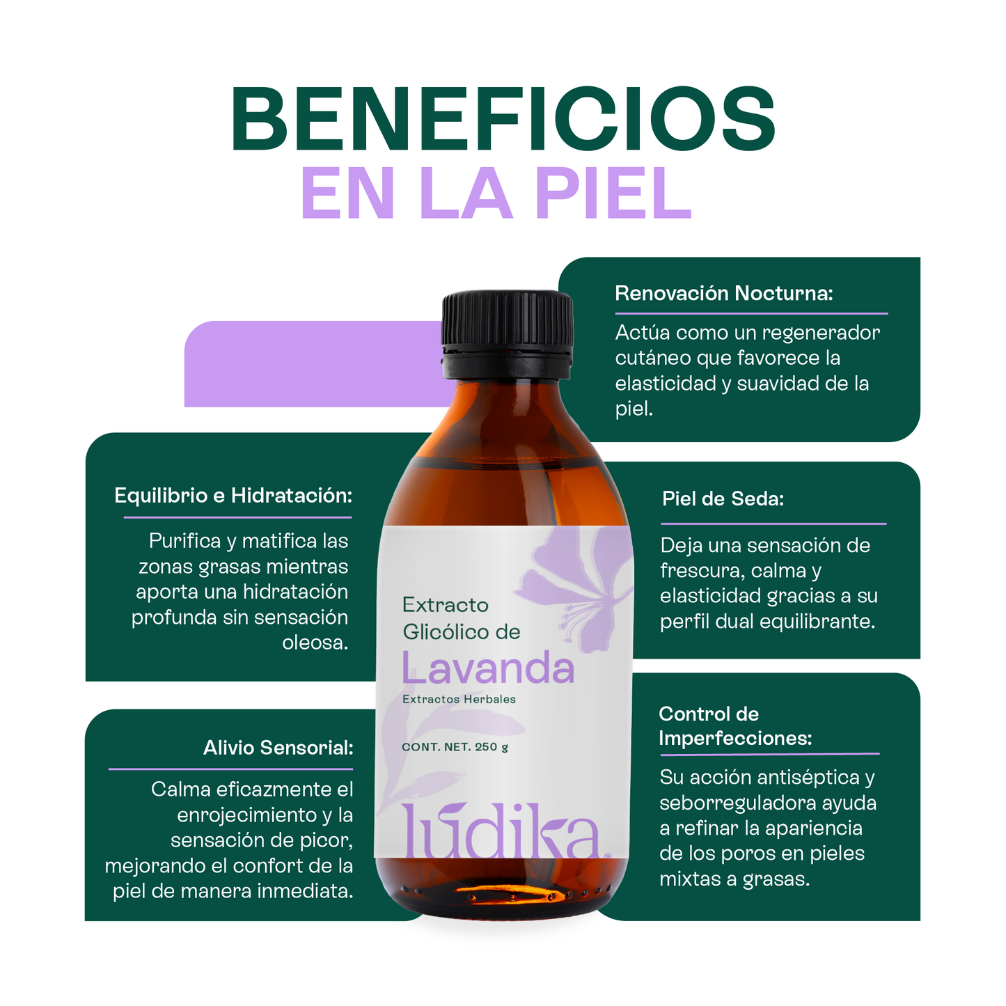 Extracto Glicólico de Lavanda | Facial, Corporal y Capilar | Activo Calmante, Purificante y Equilibrante