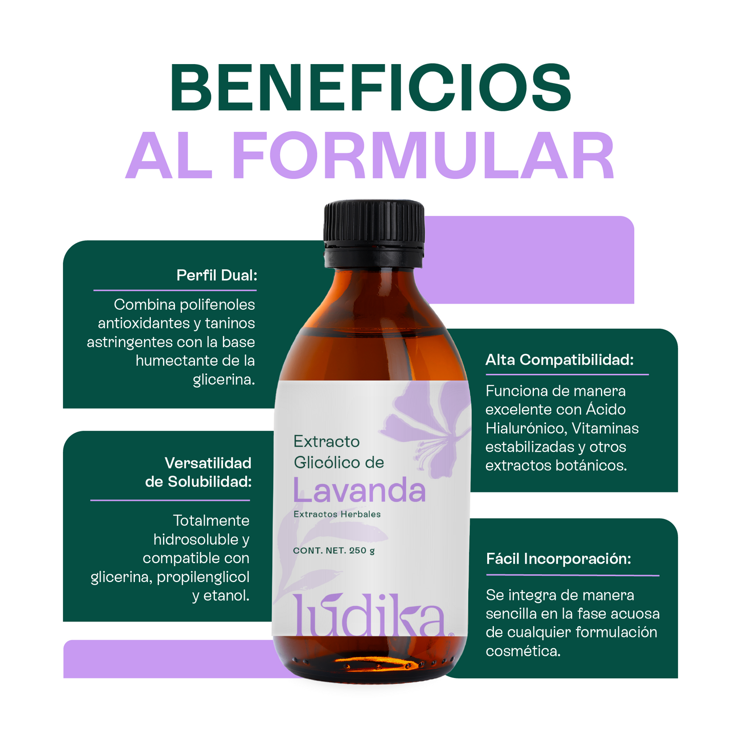Extracto Glicólico de Lavanda | Facial, Corporal y Capilar | Activo Calmante, Purificante y Equilibrante