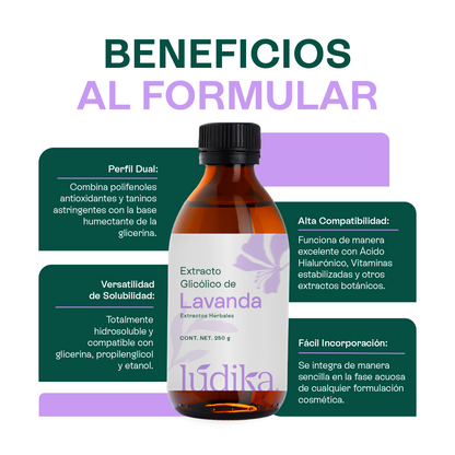 Extracto Glicólico de Lavanda | Facial, Corporal y Capilar | Activo Calmante, Purificante y Equilibrante