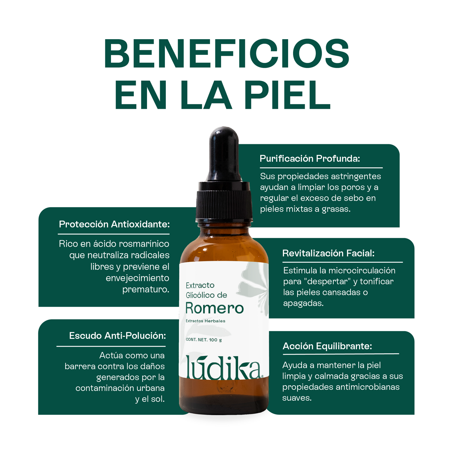 Extracto Glicólico de Romero | Facial, Capilar y Corporal | Activo Antioxidante, Purificante y Estimulante Capilar