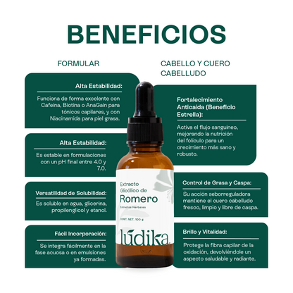 Extracto Glicólico de Romero | Facial, Capilar y Corporal | Activo Antioxidante, Purificante y Estimulante Capilar