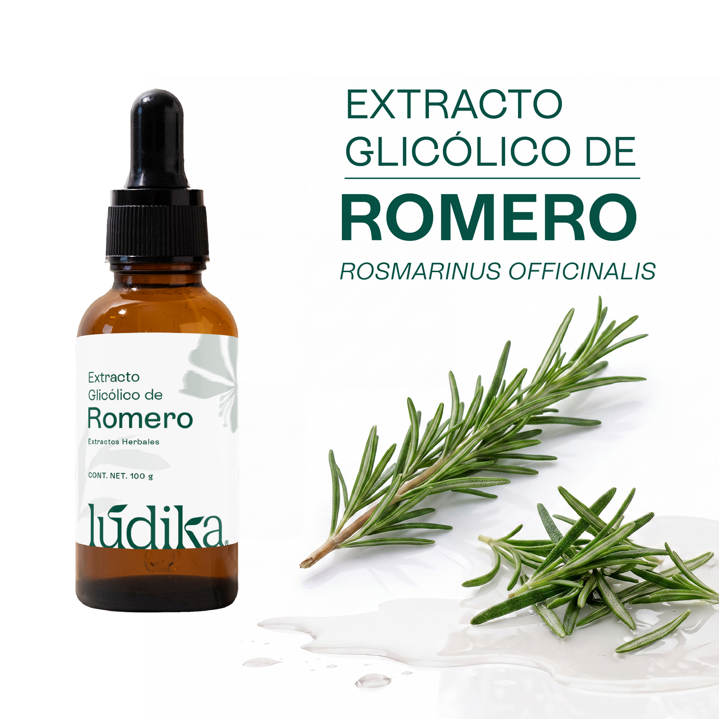 Extracto Glicólico de Romero | Facial, Capilar y Corporal | Activo Antioxidante, Purificante y Estimulante Capilar