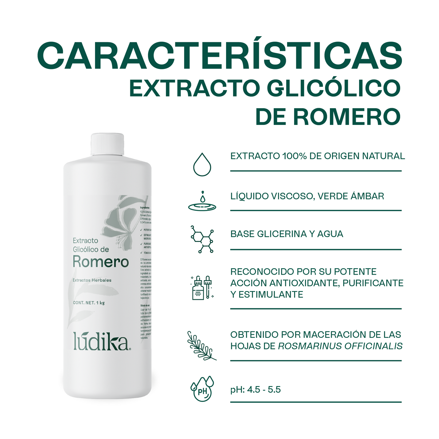 Extracto Glicólico de Romero | Facial, Capilar y Corporal | Activo Antioxidante, Purificante y Estimulante Capilar