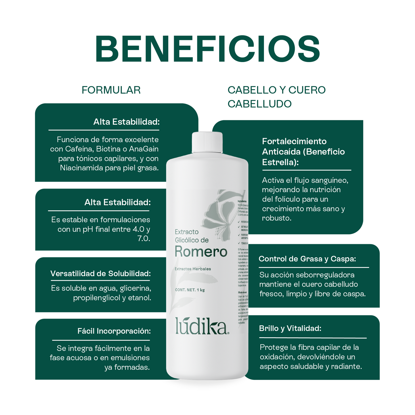 Extracto Glicólico de Romero | Facial, Capilar y Corporal | Activo Antioxidante, Purificante y Estimulante Capilar
