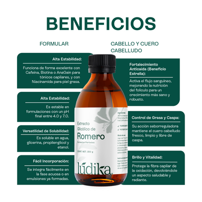 Extracto Glicólico de Romero | Facial, Capilar y Corporal | Activo Antioxidante, Purificante y Estimulante Capilar