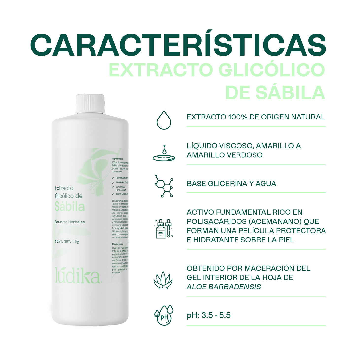 Extracto Glicólico de Aloe Vera | Facial, Corporal y Capilar | Activo Hidratante, Calmante y Reparador de la Piel