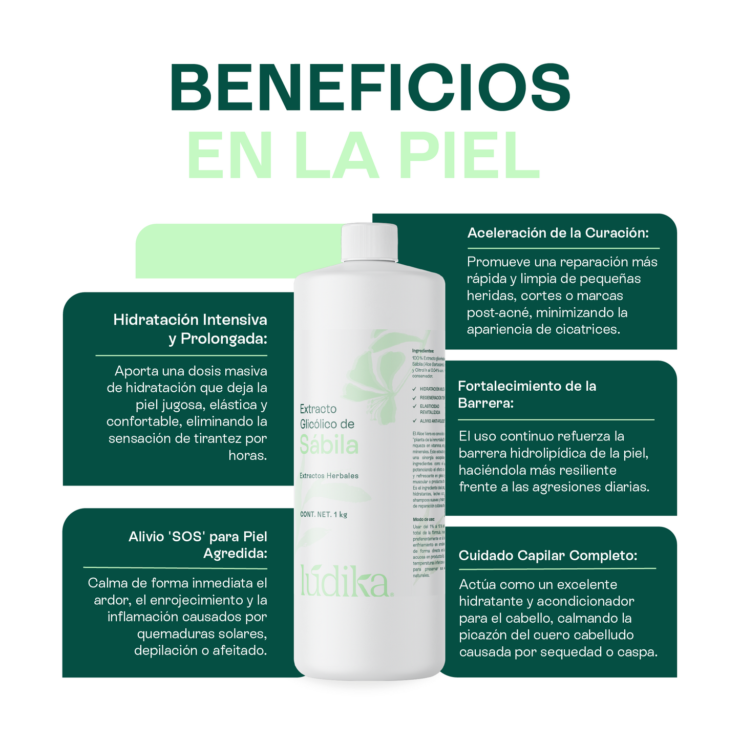 Extracto Glicólico de Aloe Vera | Facial, Corporal y Capilar | Activo Hidratante, Calmante y Reparador de la Piel