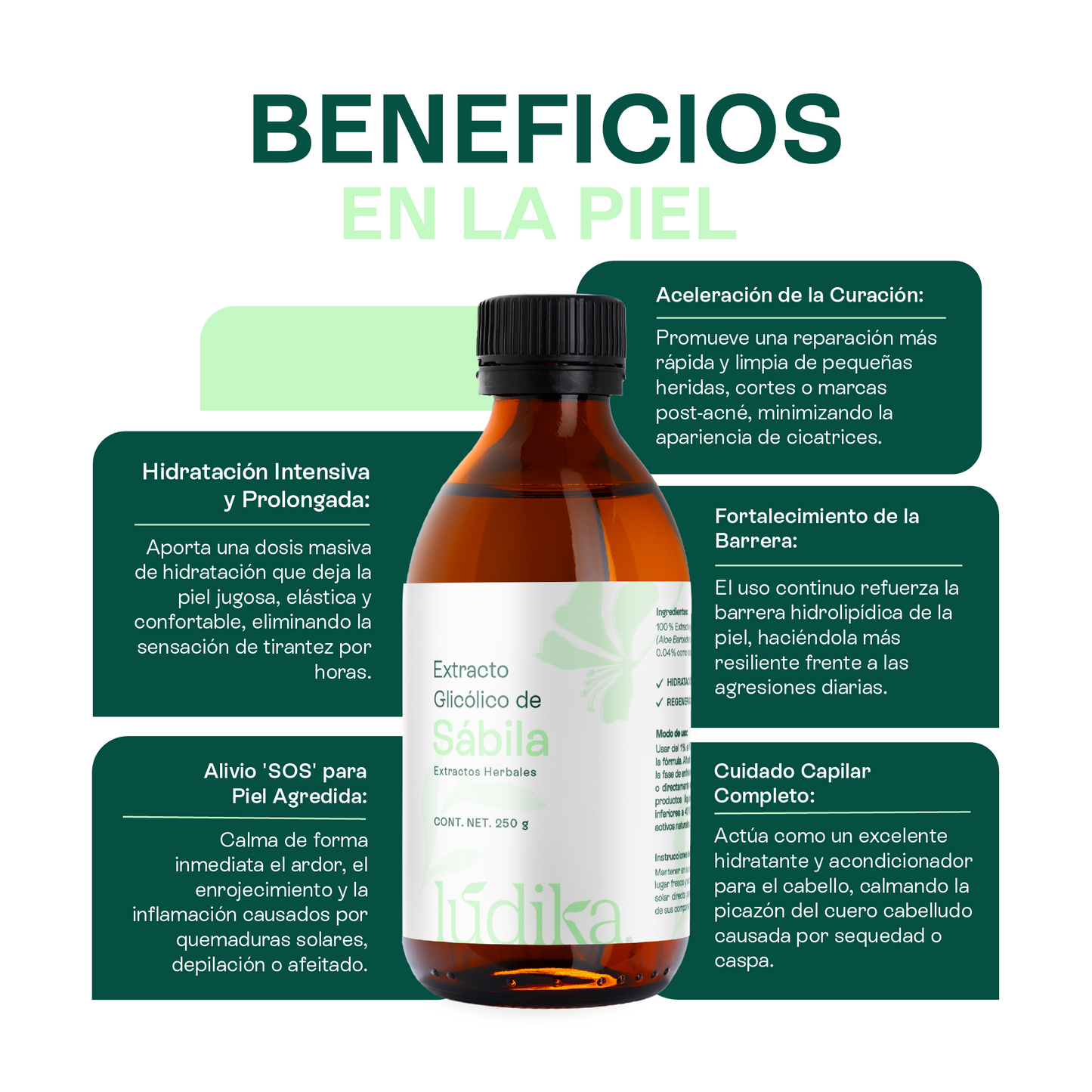 Extracto Glicólico de Aloe Vera | Facial, Corporal y Capilar | Activo Hidratante, Calmante y Reparador de la Piel