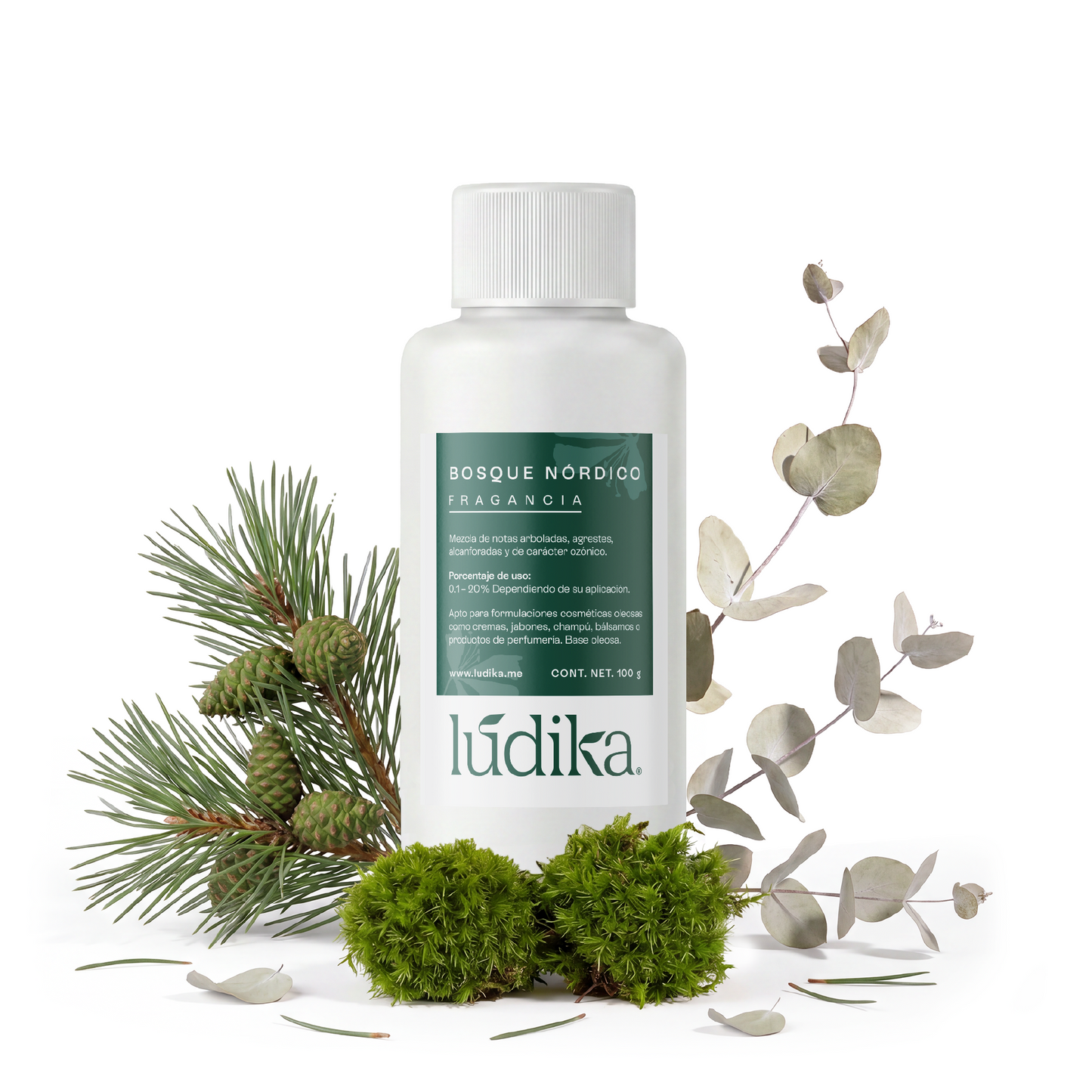 Fragancia de Bosque Nórdico | Aroma Amaderado, Fresco y Revitalizante