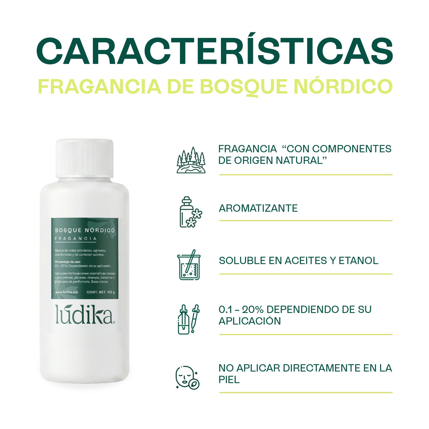 Fragancia de Bosque Nórdico | Aroma Amaderado, Fresco y Revitalizante