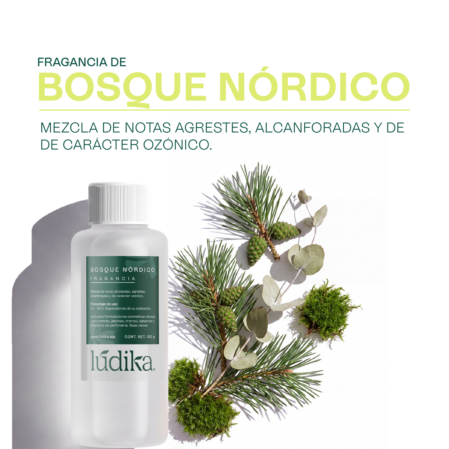 Fragancia de Bosque Nórdico | Aroma Amaderado, Fresco y Revitalizante