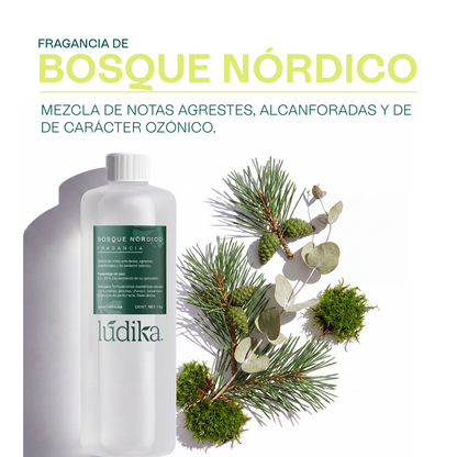 Fragancia de Bosque Nórdico | Aroma Amaderado, Fresco y Revitalizante