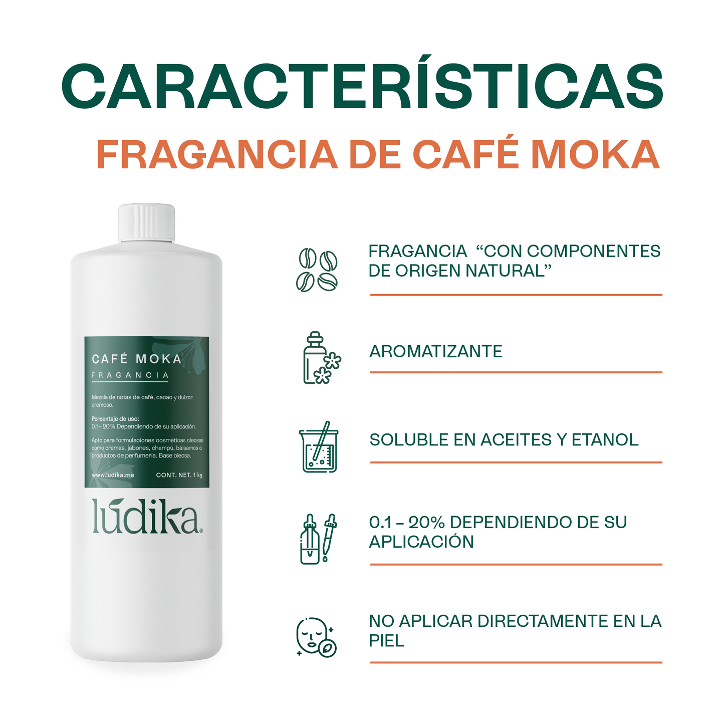 Fragancia de Café Moka | Aroma cálido y tentador, gourmand