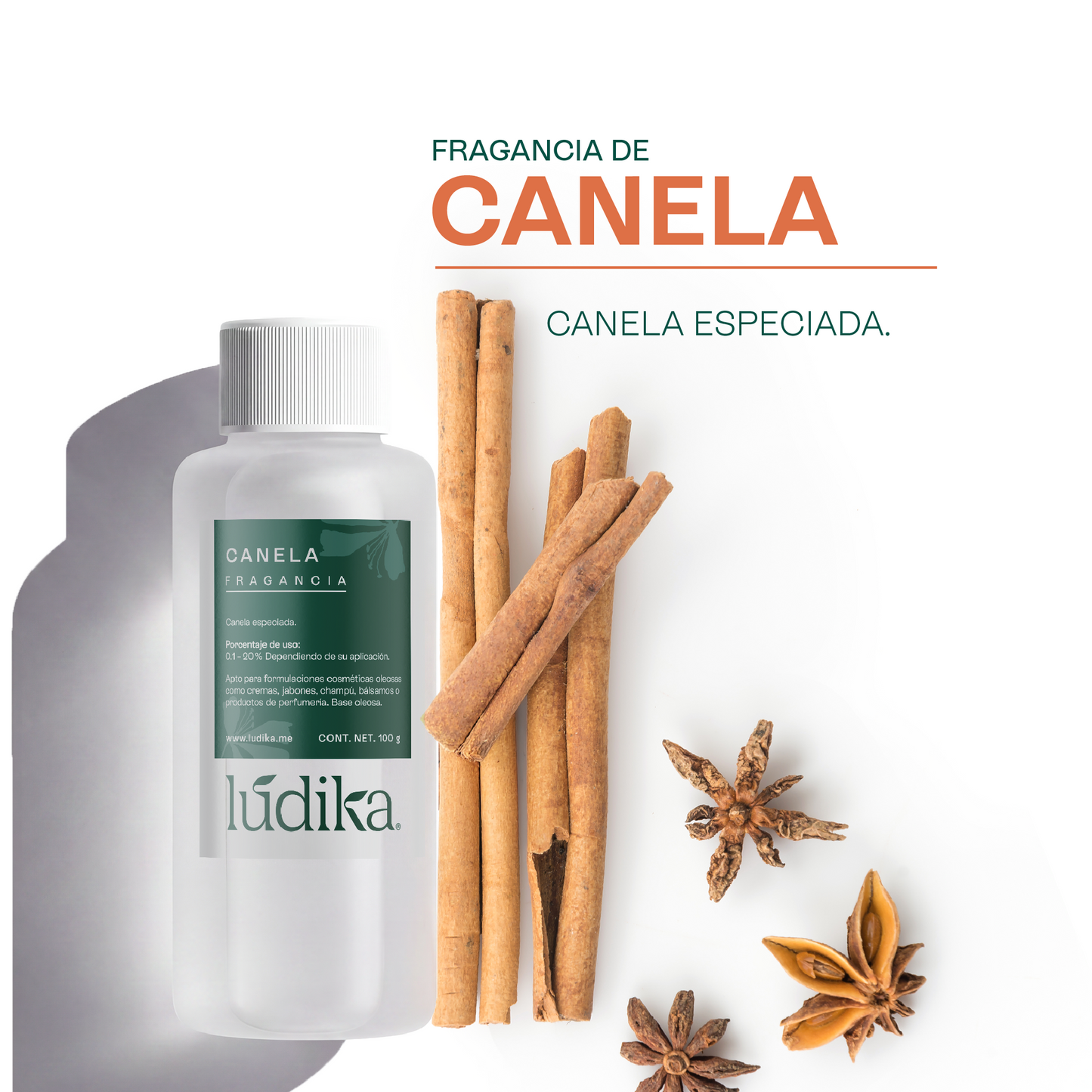 Fragancia de Canela | Aroma Cálido, Especiado y Reconfortante