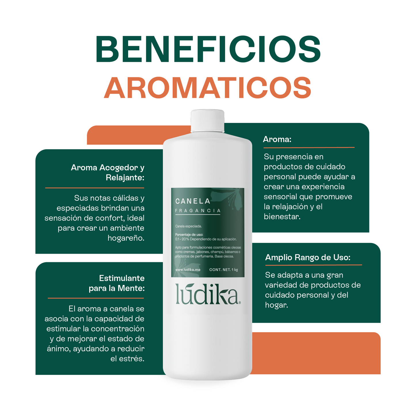 Fragancia de Canela | Aroma Cálido, Especiado y Reconfortante
