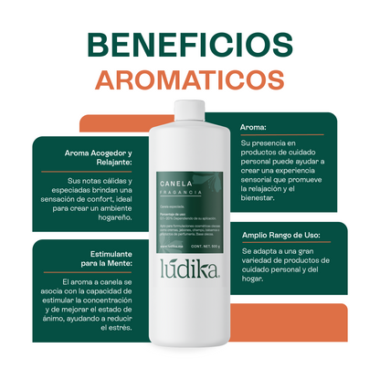 Fragancia de Canela | Aroma Cálido, Especiado y Reconfortante