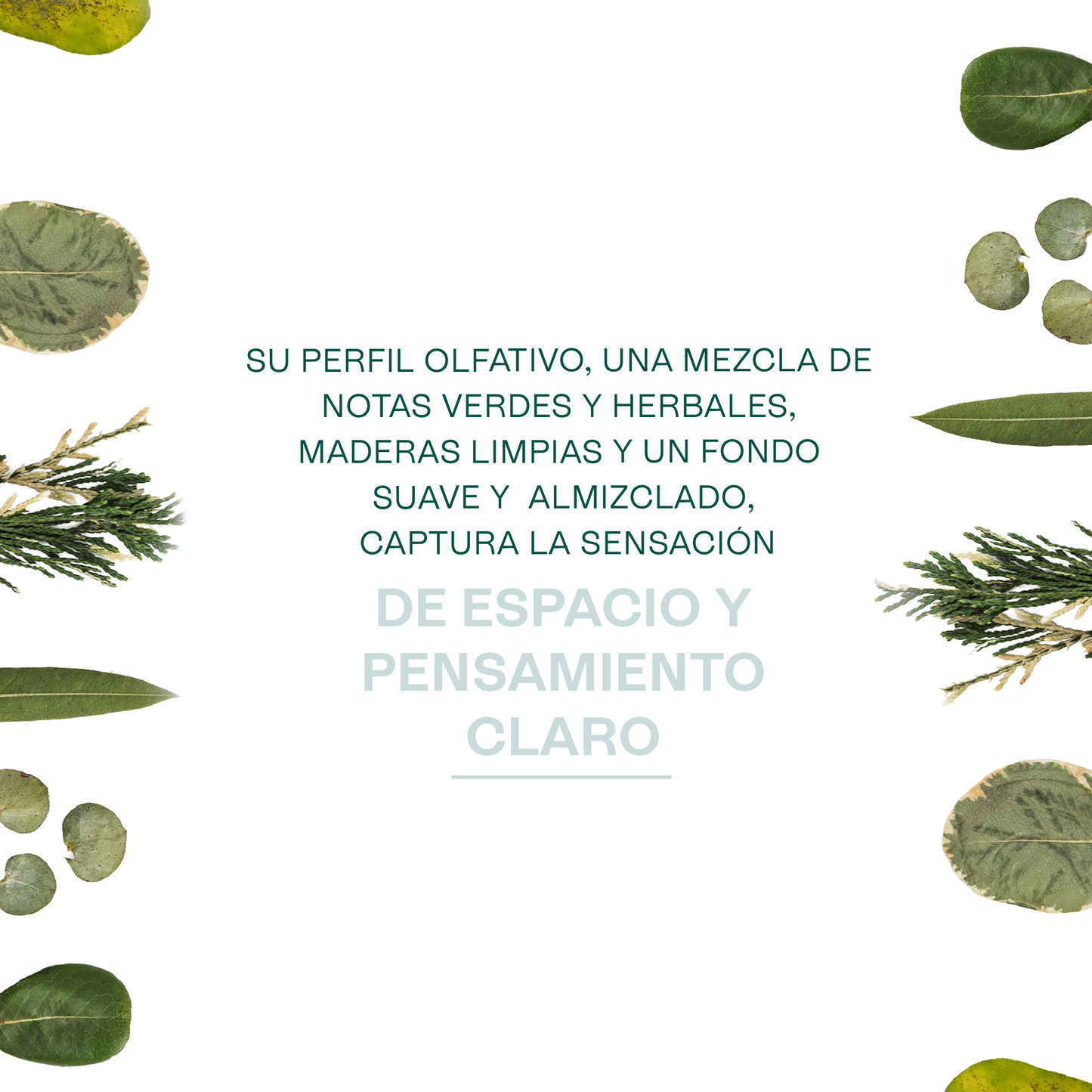 Fragancias Bienestar | Ambientación y Relajación | Velas, Difusores y Jabones