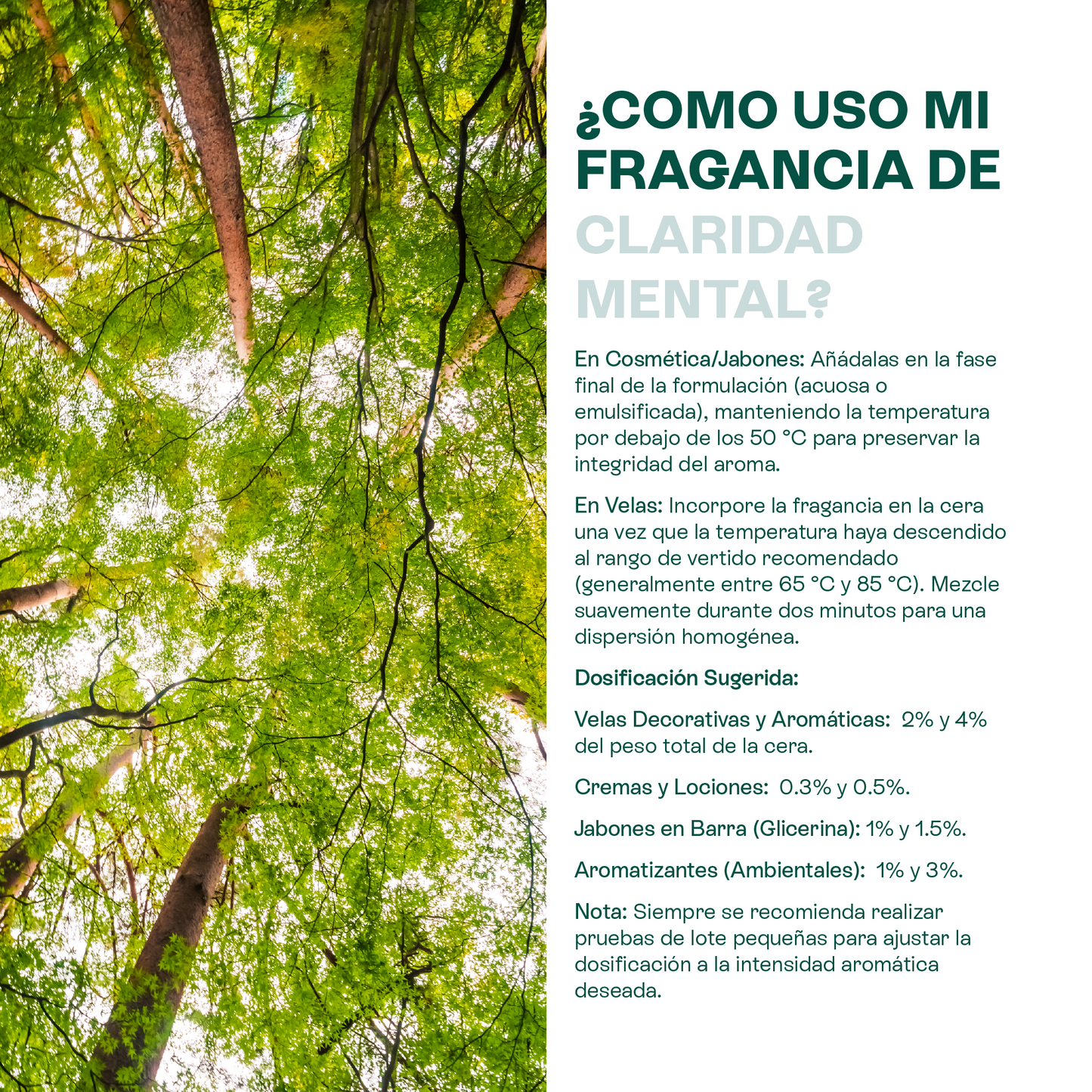 Fragancias Bienestar | Ambientación y Relajación | Velas, Difusores y Jabones