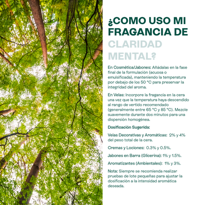 Fragancias Bienestar | Ambientación y Relajación | Velas, Difusores y Jabones
