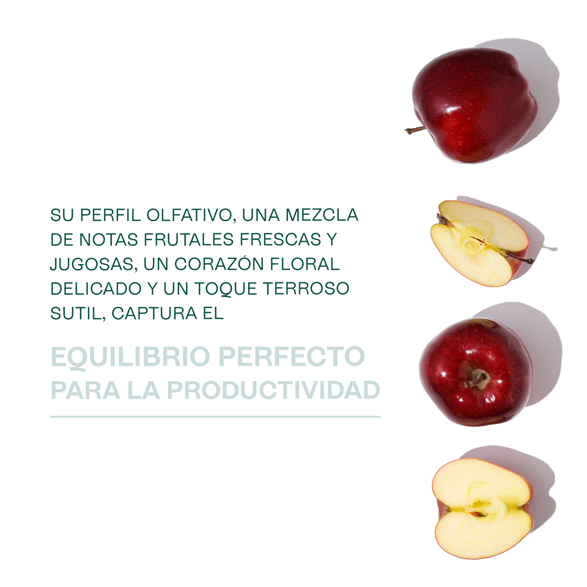 100 g / Flores Nocturnas