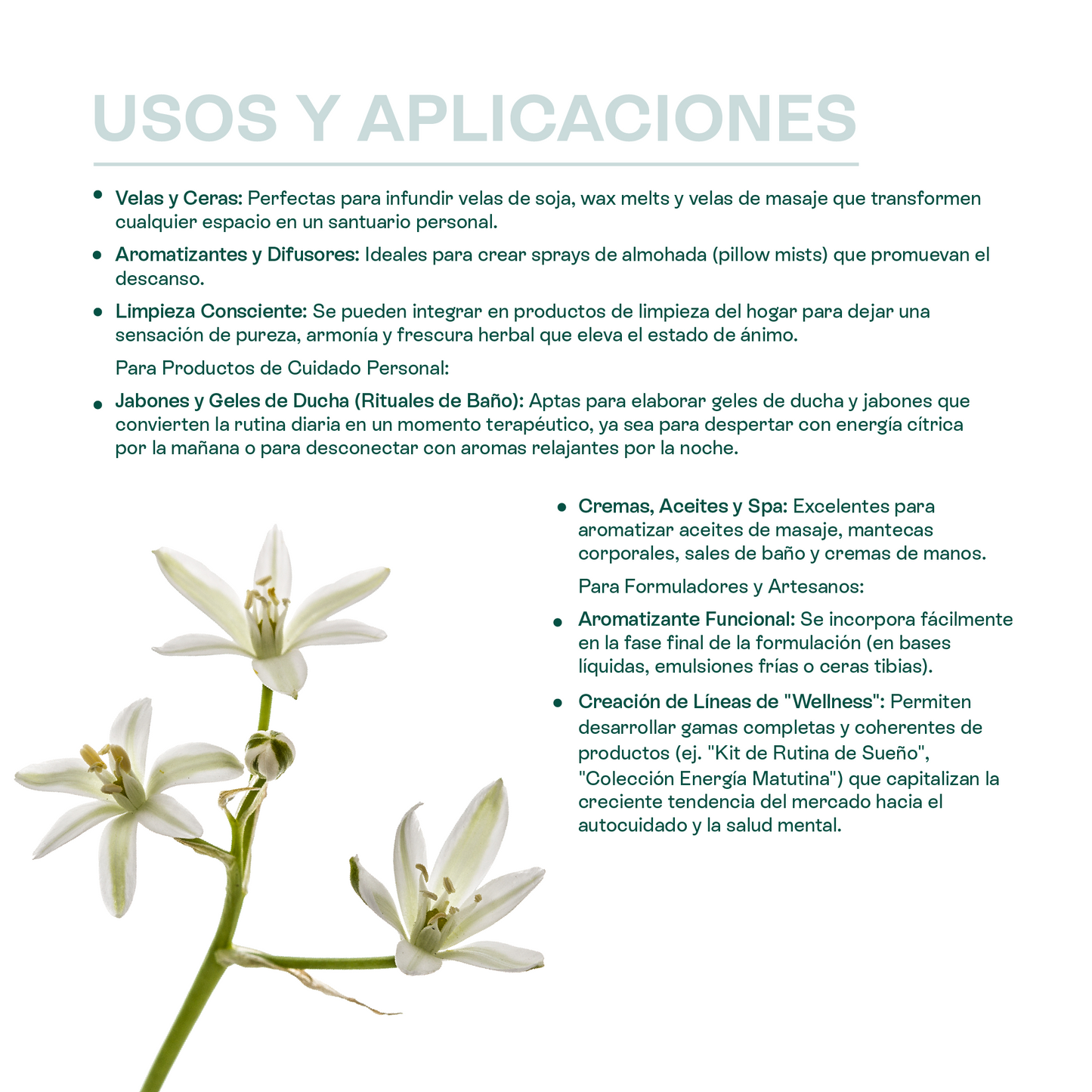 Fragancias Bienestar | Ambientación y Relajación | Velas, Difusores y Jabones