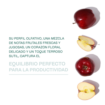 Fragancias Bienestar | Ambientación y Relajación | Velas, Difusores y Jabones