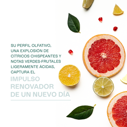 Fragancias Bienestar | Ambientación y Relajación | Velas, Difusores y Jabones
