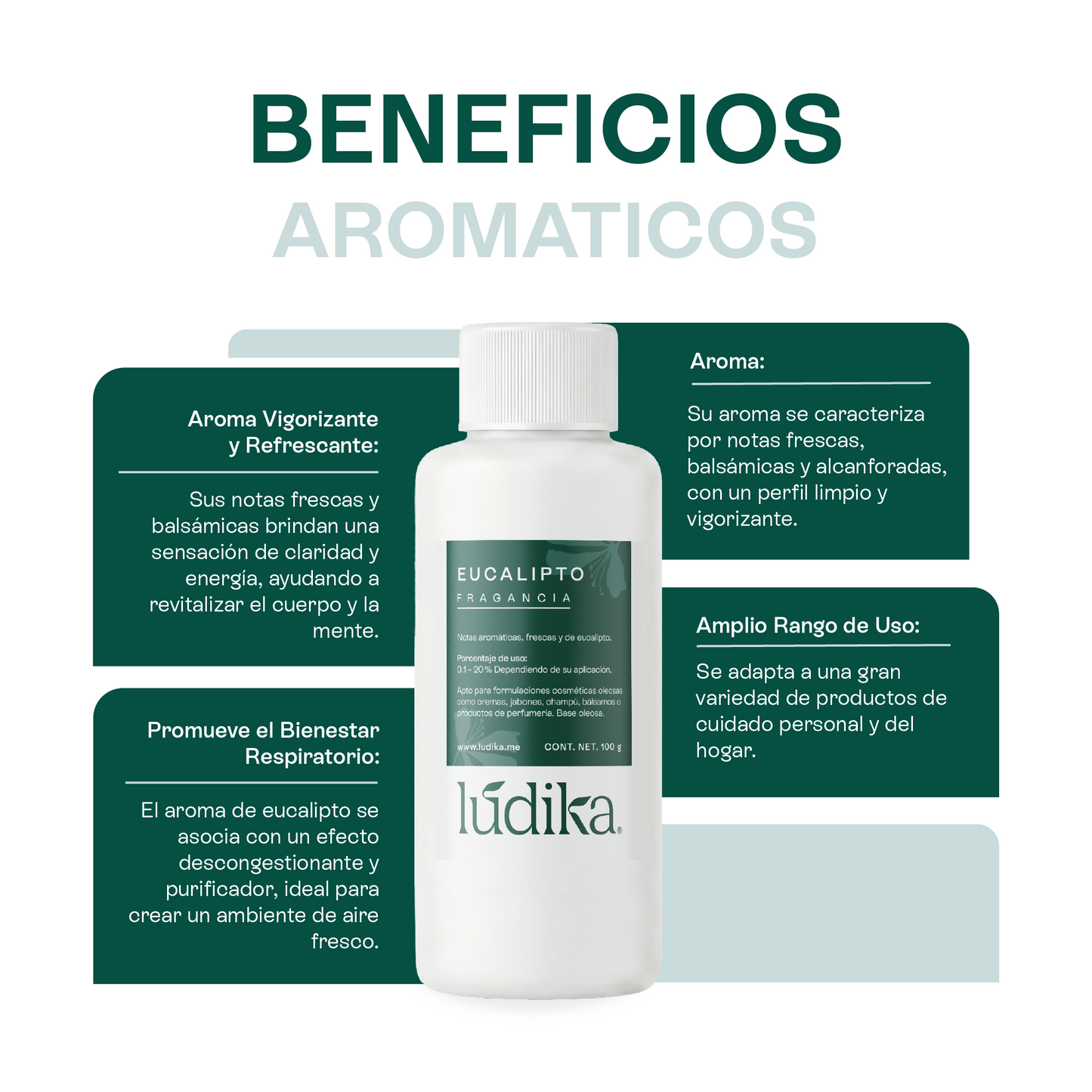 Fragancia de Eucalipto | Aroma Fresco, Balsámico y Revitalizante