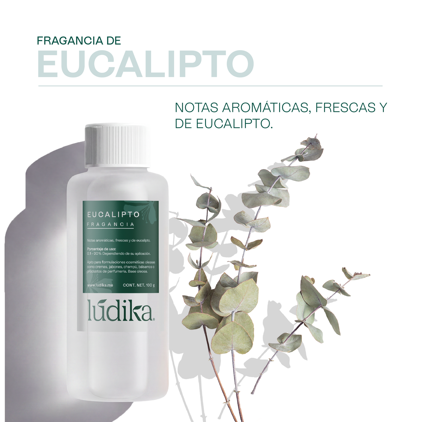 Fragancia de Eucalipto | Aroma Fresco, Balsámico y Revitalizante