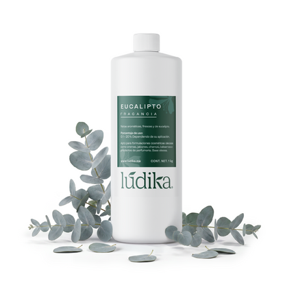Fragancia de Eucalipto | Aroma Fresco, Balsámico y Revitalizante